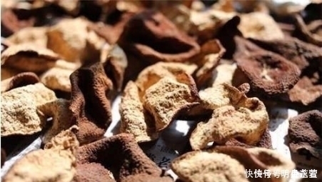 不管炖什么肉,只需放几片它,增香去腥,不到20分钟软烂入味