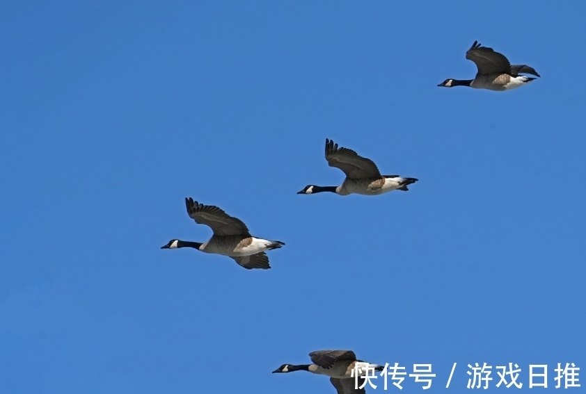 柳永!欧阳修高水平的10首诗词排行,《生查子 元夕》仅第二,第一是?