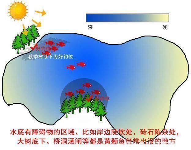 绝招|立秋之后正是钓黄颡的好时节，资深钓友教你一绝招，让你挥杆不停