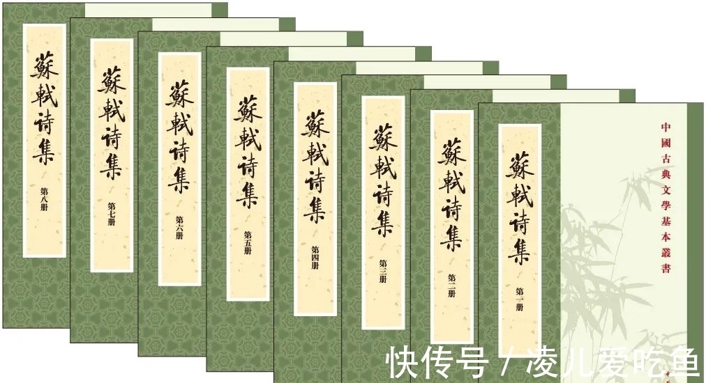 苏轼诗集!最受欢迎的20种苏东坡主题图书揭晓|伯鸿书香奖