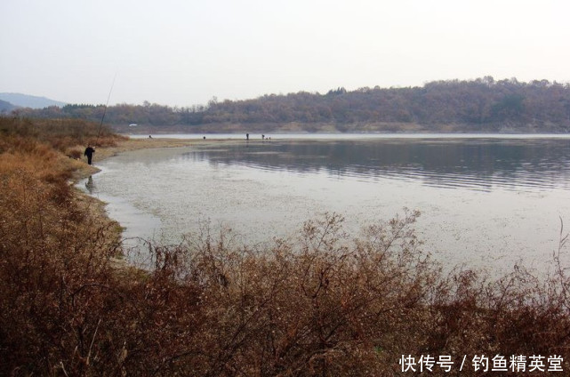 钓鱼人|冬天到了,鱼难钓,怎么办?说说我的方法