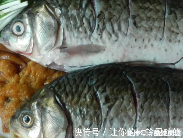 变态反应|经常吃鱼好处多多,可惜这4种人不能随便吃鱼!你是其中之一吗?