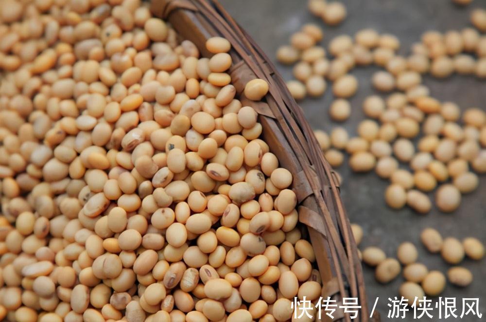 君子兰喂点“小零食”,叶片杠杠厚,花箭拔的高,开花大又艳