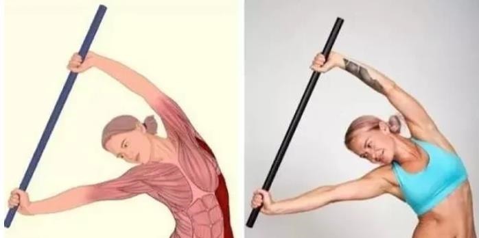 肌肉|全身拉筋3D图解，一步到位，在家也能强身健体