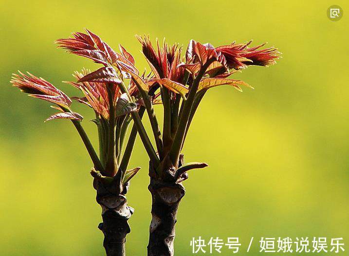 小吃|70岁老奶奶路边卖小吃,1元1碗,我连吃了3碗都还不满足