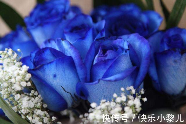 巨蟹|2月下旬,今生情缘,所求不弃,4星座牵手爱人,余生心心相惜