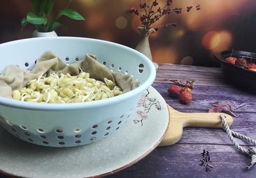  黄豆|2把黄豆，成本不到1元，在家自发黄豆芽，健康零添加吃得放心