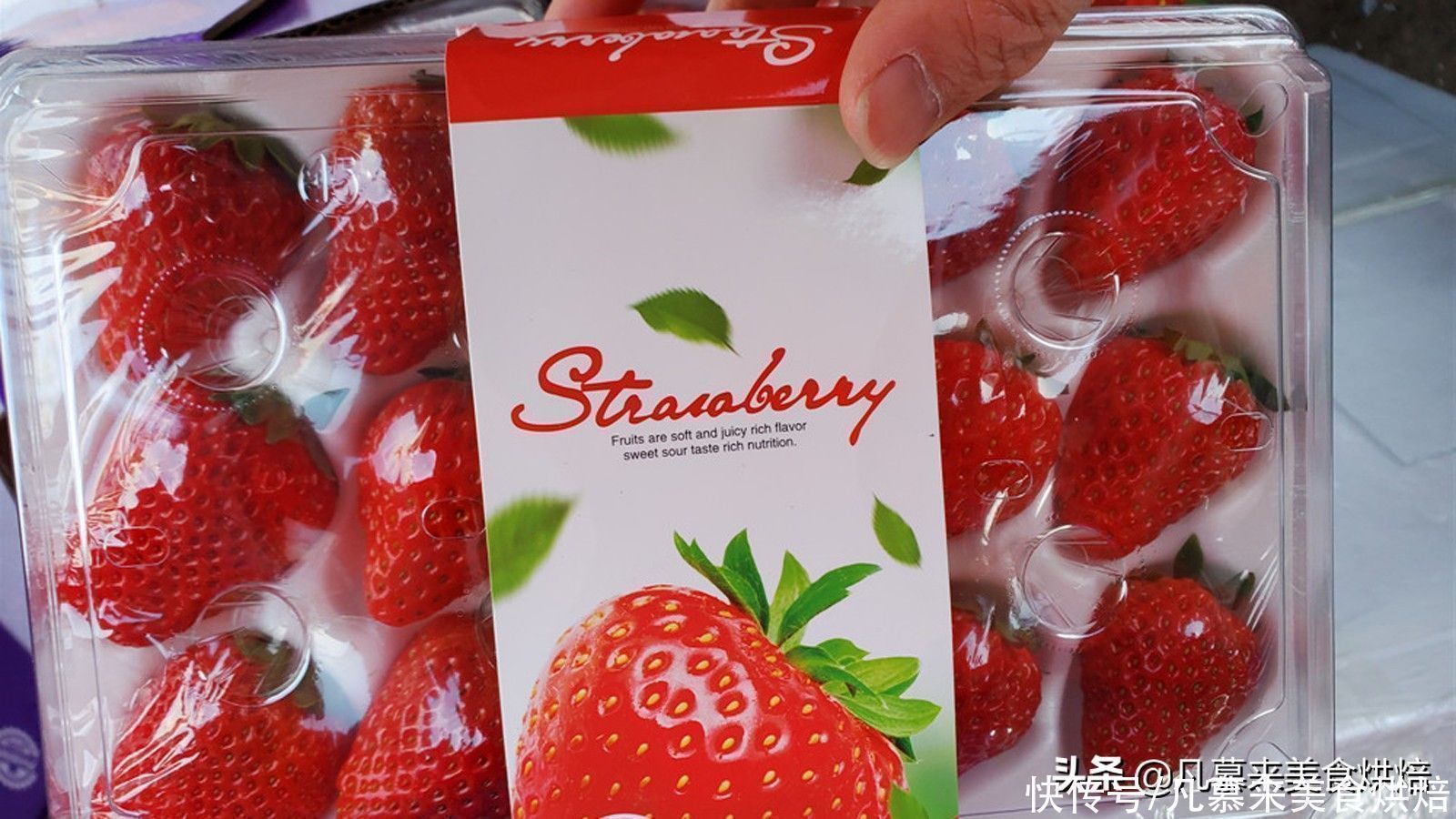 发芽|土豆为什么不能放冰箱?赶紧告诉家人吧!不止土豆这10种也不能