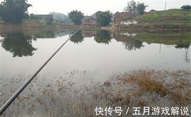 冬季天冷鱼“懒”,3个步骤,把饵递到鱼嘴边,没有撬不开的鱼嘴