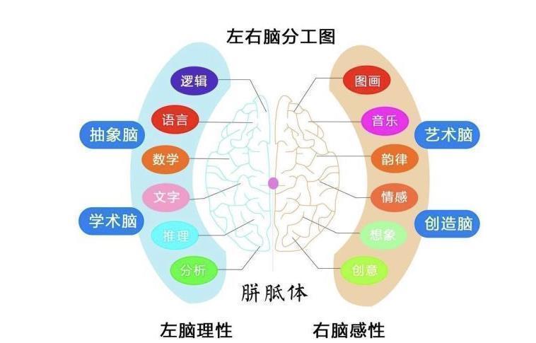 居里夫人|孩子有3种表现,说明右脑很发达,好好栽培将来容易成为学霸