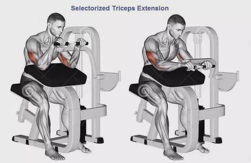弯杆|最全的肱二三头肌训练图解,漂亮手臂必备!