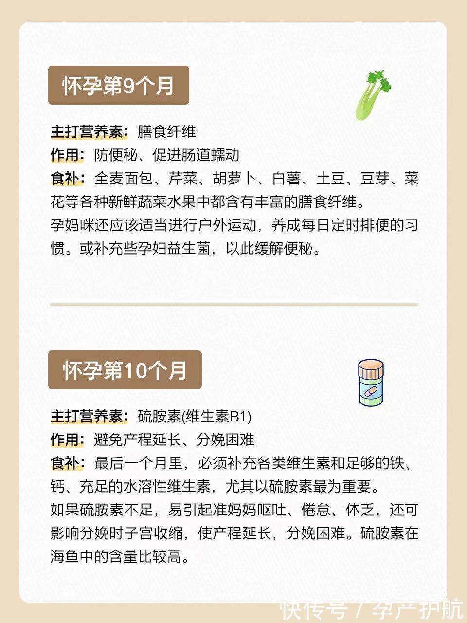 怀孕1~10月怎么吃?长胎不长肉!|孕期干货| 食物