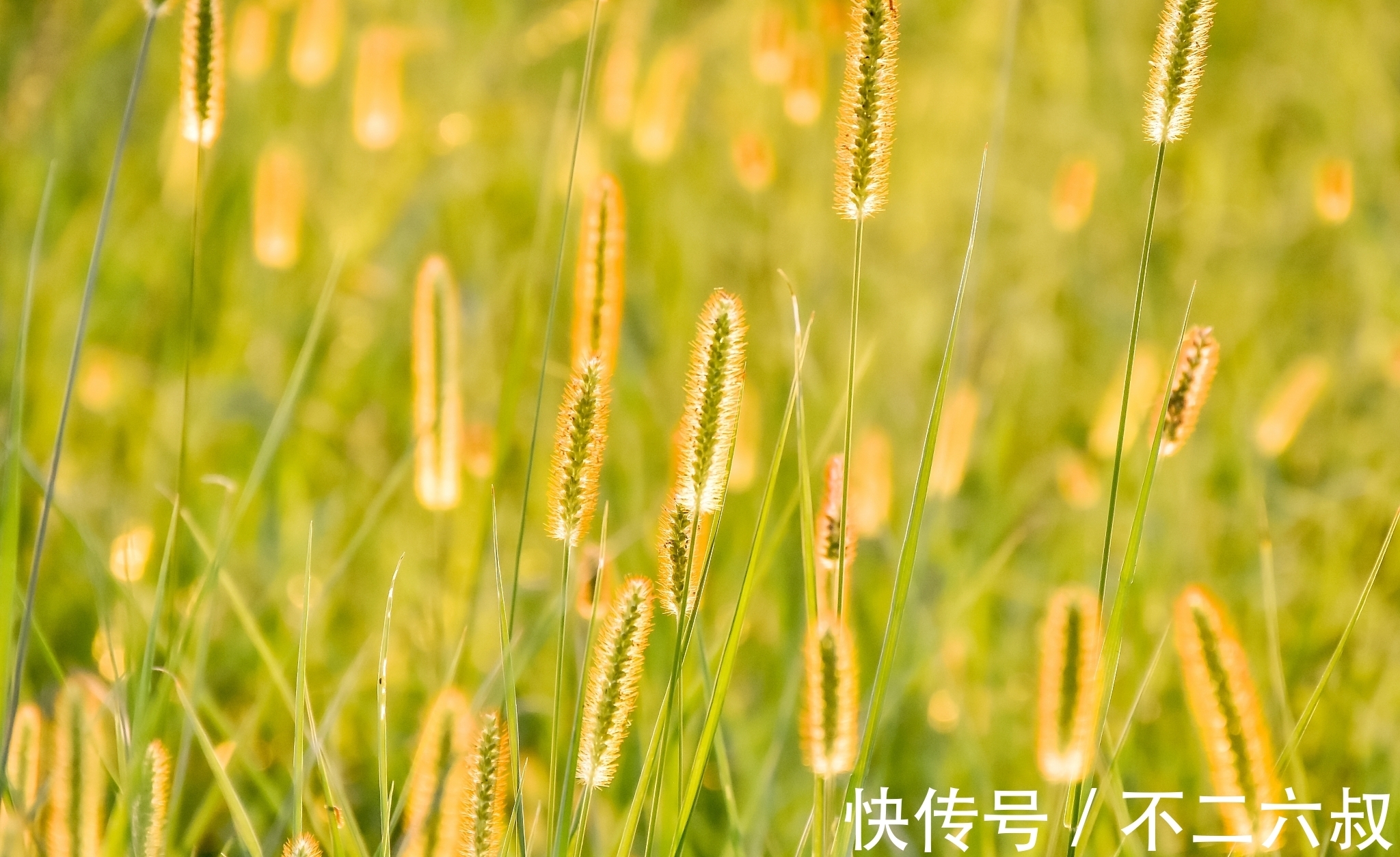 人道酬诚$人生,悟天道,知畏惧;悟人道,懂善良