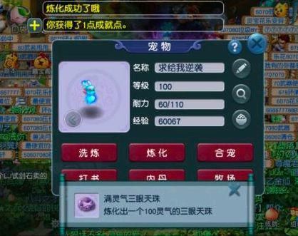 梦幻|梦幻西游：玩家打造出爆伤宝宝装备，因一个蓝字，至少不见了2万！