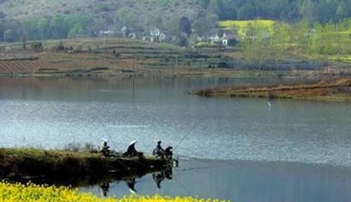 清明过后鲫鱼应该这样钓，几个常用老套路，让你轻松钓到的大鲫鱼