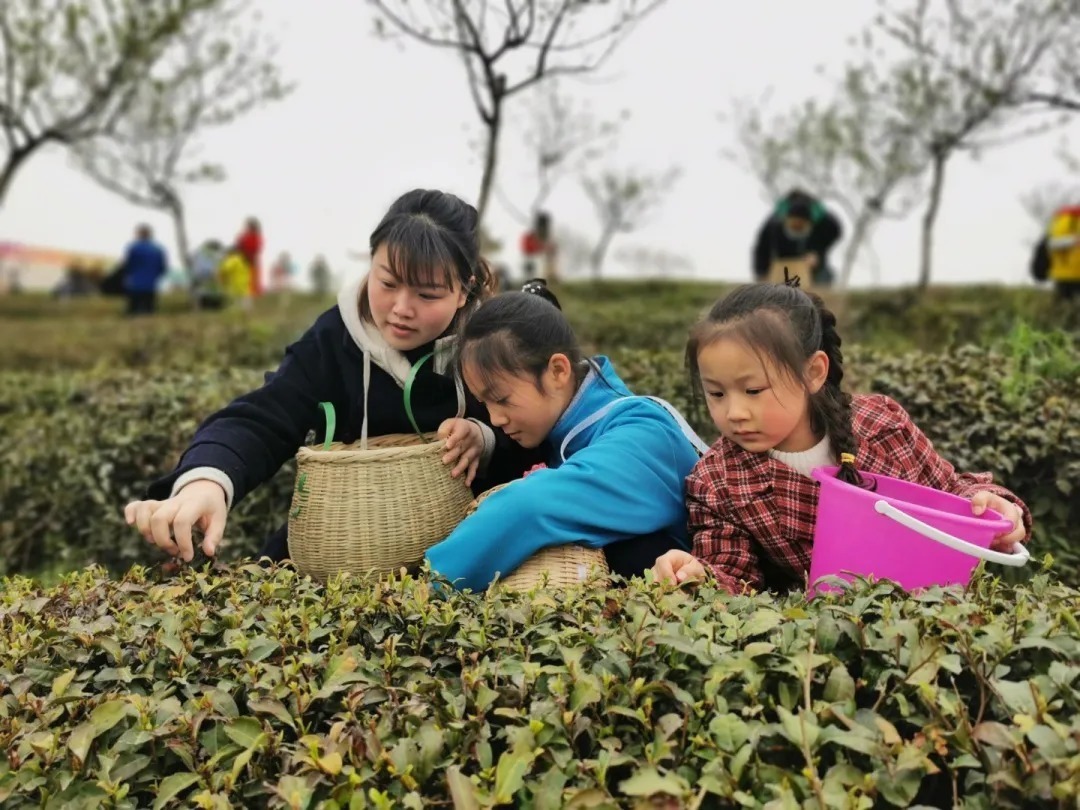 行走的课堂 灵动的童年：随州外国语学校南关口校区高段班级社会实践活动