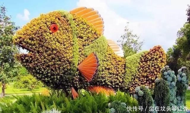 塑造|植物塑造出来的造型简直美炸了,你见过这样的植物吗?