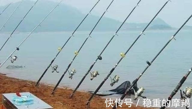 专攻|据说这钓法专攻“大鲤鱼”,每次抛竿入水都有口,连鲫鱼都不想钓