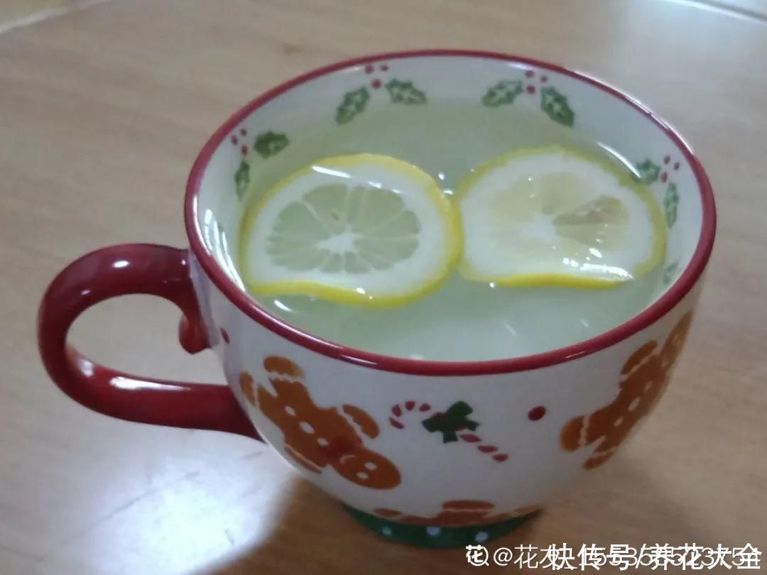 给花浇水掺点白醋，植物根比萝卜还粗，健壮不黄叶