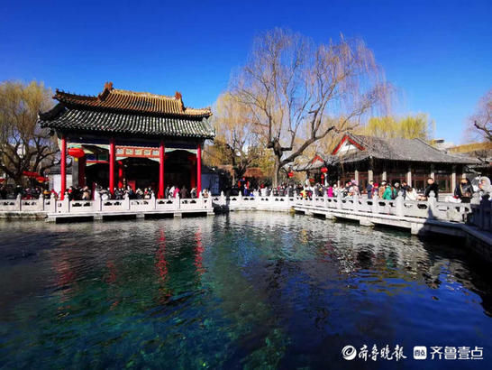 美图|情报站｜“犇”向春天！济南趵突泉的气质蓝上线，碧空如洗美翻了