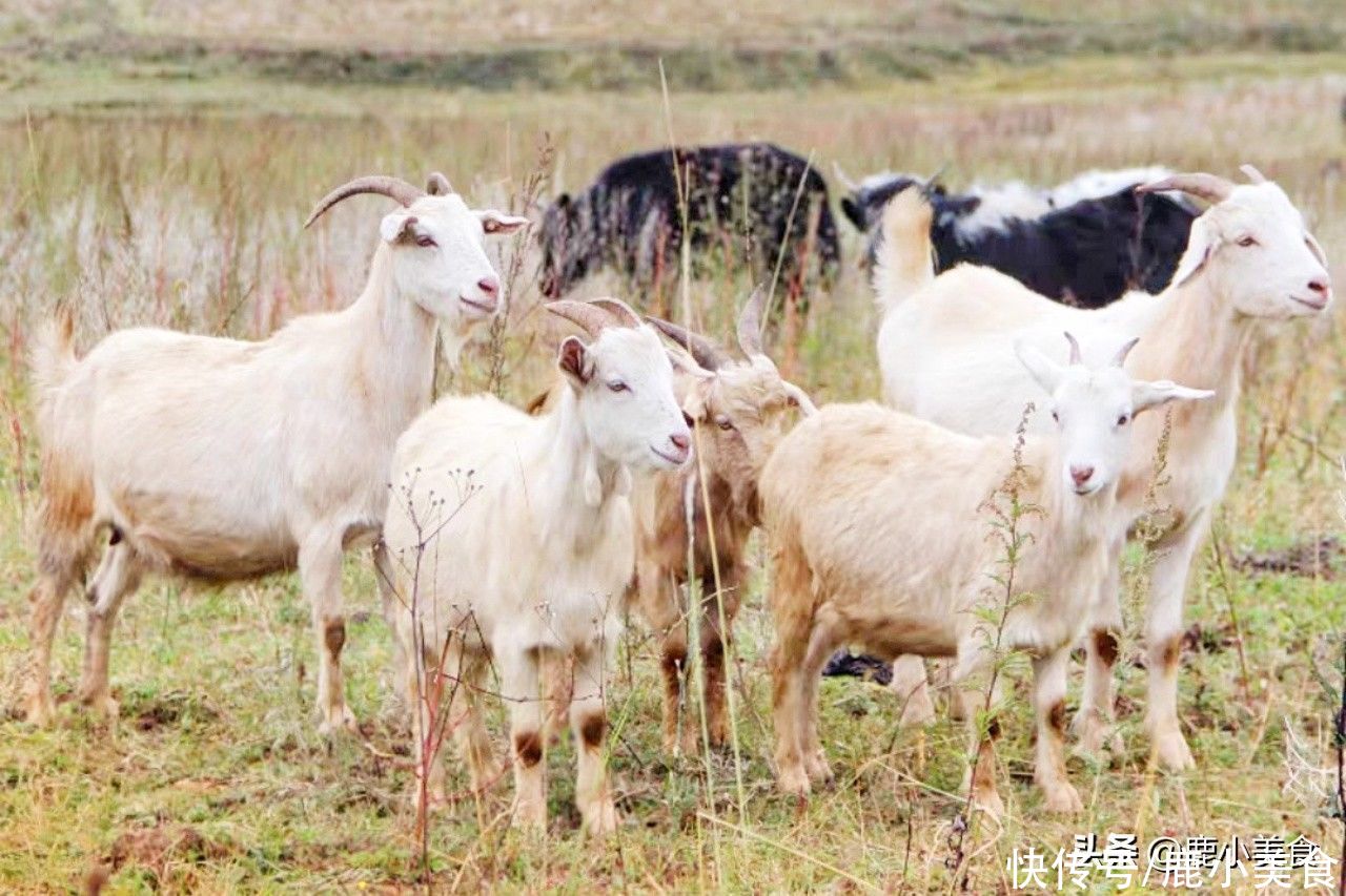 南瓜|处暑到，马上要凉快了，“食养6宜”要记住，顺时而食，轻松度秋