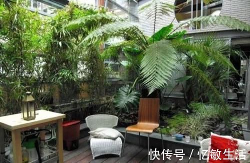 花园|15个私家小院花园设计，聚三两知己共饮，享受慢调生活