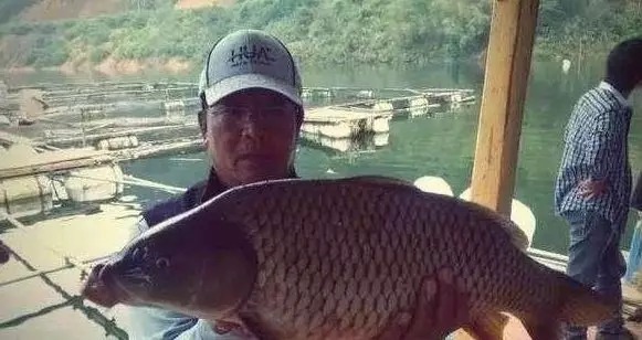 不是跟你吹,按照这些方法钓鲤鱼,竿竿都上鱼,老钓手都得输给你