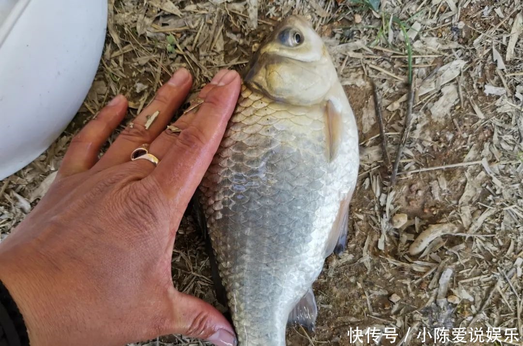 钓鱼和不钓鱼有哪些区别?你可能没发现,钓鱼人有6个特征