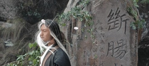 段誉!它是金庸书中最难学的武功,只有一个人会,不是六脉神剑!