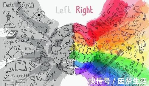 父母|哈佛研究：宝宝大脑发育高峰期一生有三次，请务必帮娃抓住一次