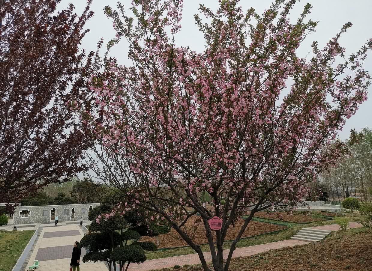 指责|曾国藩:面对别人的指责和议论,要做到有则改之,无则加勉