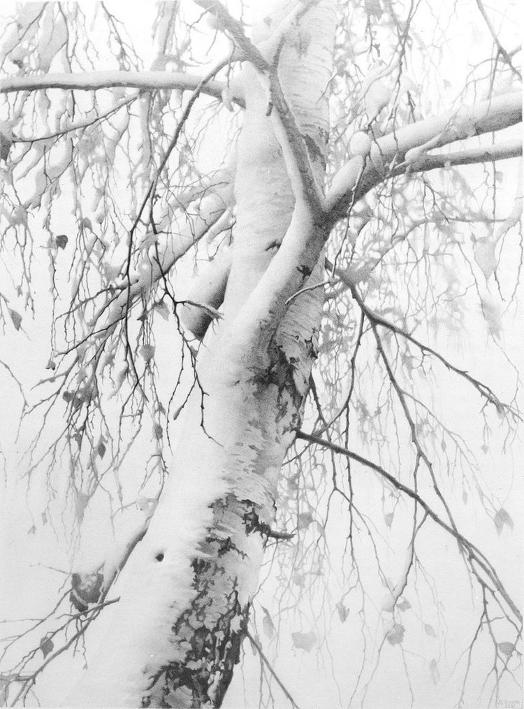 丹尼斯!乌克兰画家谢尔诺夫细致入微的美女、风景铅笔画