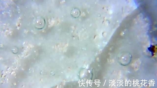 汝窑#“纵有家财万贯,不如汝瓷一片”,汝瓷究竟有何价值?