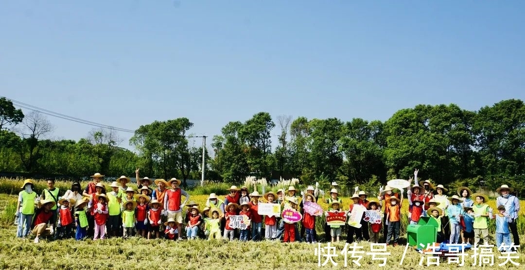 文化節(jié)|帶著孩子來(lái)割稻啦！還有稻田音樂(lè)季、美食市集和露營(yíng)活動(dòng)~