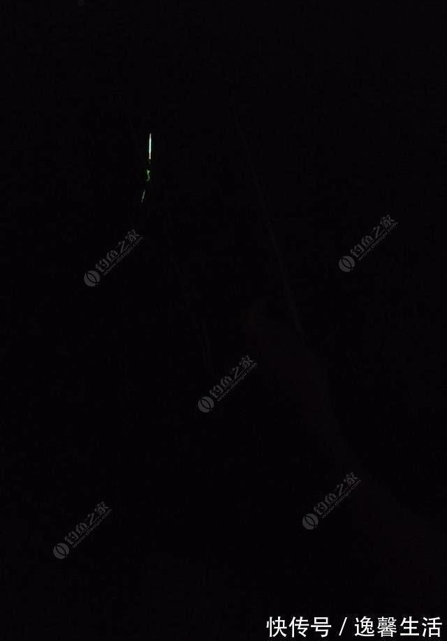 西南风|天刮西南风气死老钓翁野钓风向对鱼获影响知多少