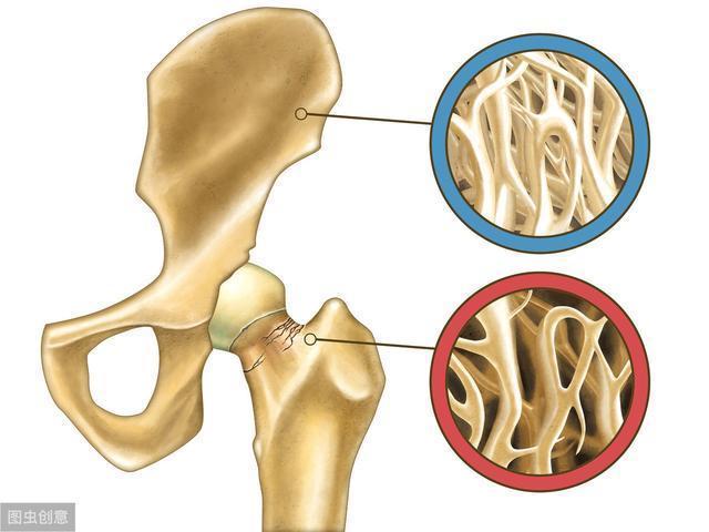 力量训练|50岁后,请把力量训练融入进您的生活!4点建议,打造健康体魄