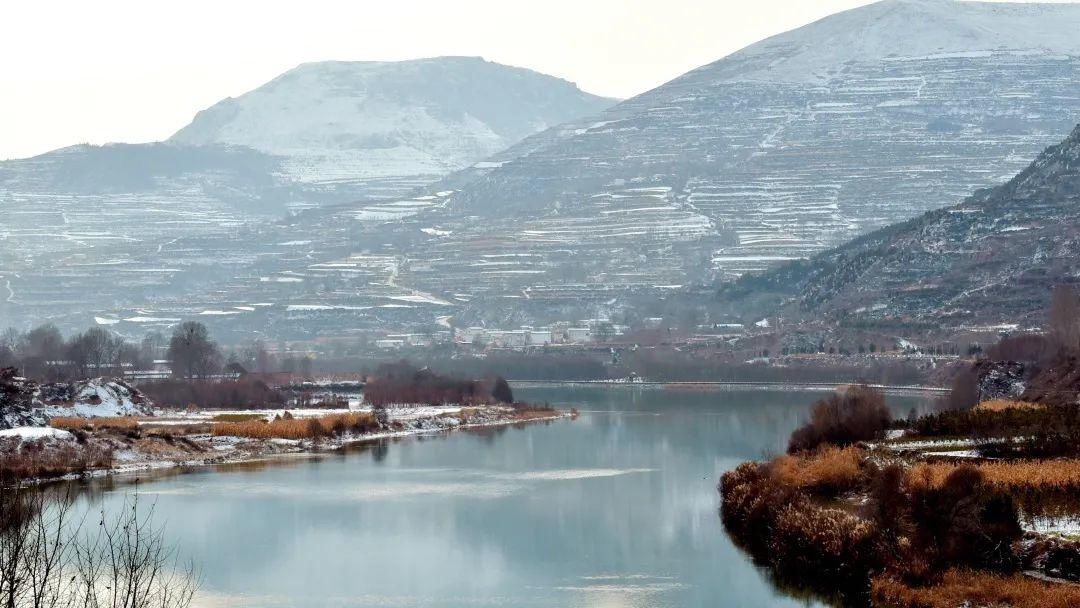 深冬|在洮河湿地公园，来一场深冬邂逅！