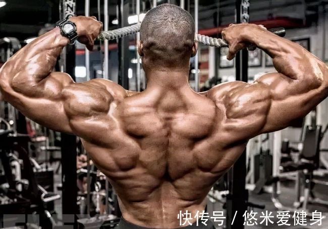 肩胛骨|如何锻炼三角肌后束?4个动作每周练2次,提升肩部肌肉立体感