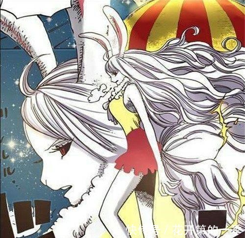 丽丽|海贼王喜欢橡胶的4位女神,1位被变成过男人,1位曾背叛过路飞