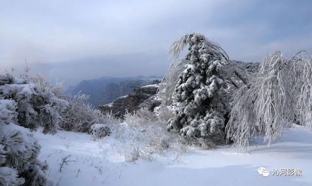 雪后王莽岭，美得不要不要的！