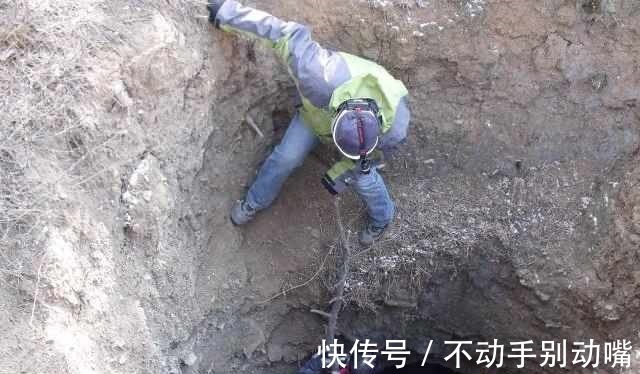 李昇$小孩发现开国皇帝墓葬,考古专家冲进去,看见八个字,气得够呛!