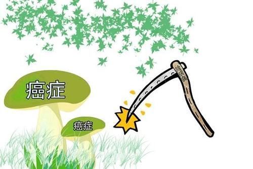 癌症|肿瘤患者应该如何预防复发？记住4件事，一样可以活得很滋润