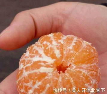 逃命|朱元璋给朱棣剥了一个桔子吃,朱棣母亲得知后大惊你赶紧逃命吧