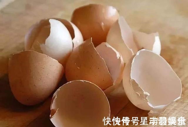 叶土|君子兰盆里放2样东西,啥肥不用给,照样花苞多、叶满盆