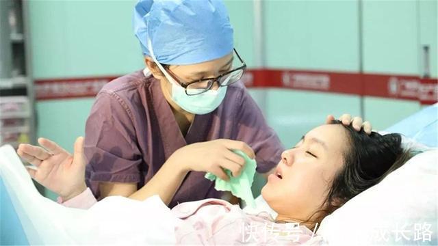 动物|为什么动物生育后代那么轻松,人类分娩时却疼得撕心裂肺?