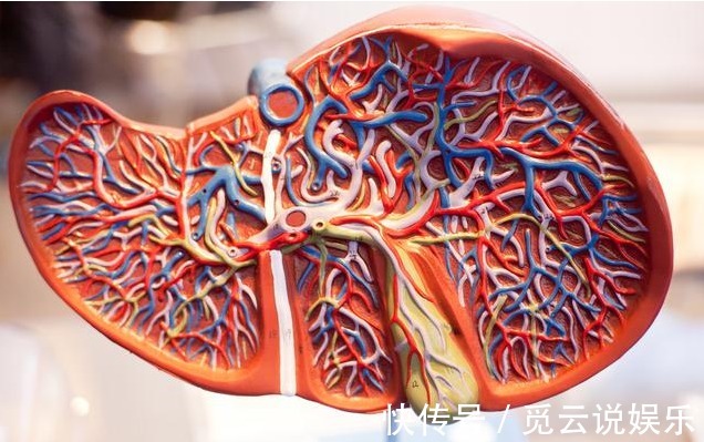 肝脏|体检发现转氨酶升高,怎么办别慌!医生给你支1招,科学应对