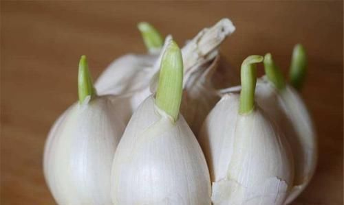 黄豆芽|有2种蔬菜发芽后不仅没“毒”,营养还更高,扔掉太可惜了