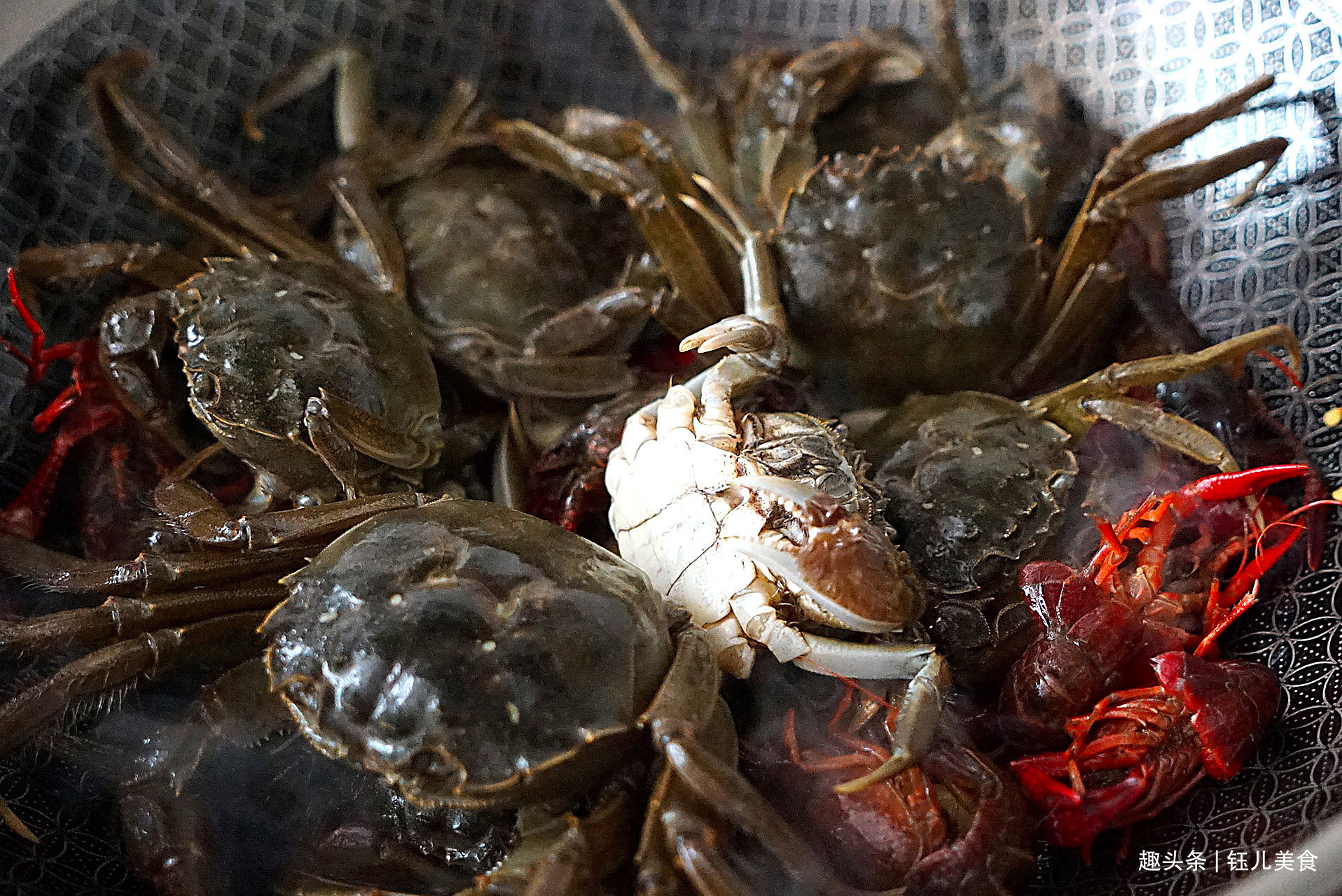 入秋后,螃蟹此做法太实用了,不油炸不清蒸,味道鲜美还不掉蟹脚!