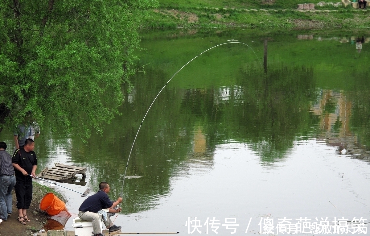 水草|虽然水草处钓鱼效果不错，但忽视这5点，同样等于“”瞎胡跑”