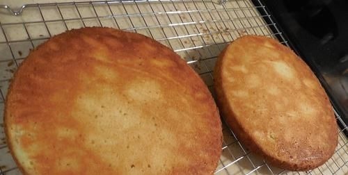 父母眼中的蛋糕VS我们期待收到的蛋糕，吃货我只想正常过个生日